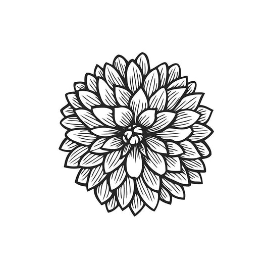 Bloomquist Curt Tuber