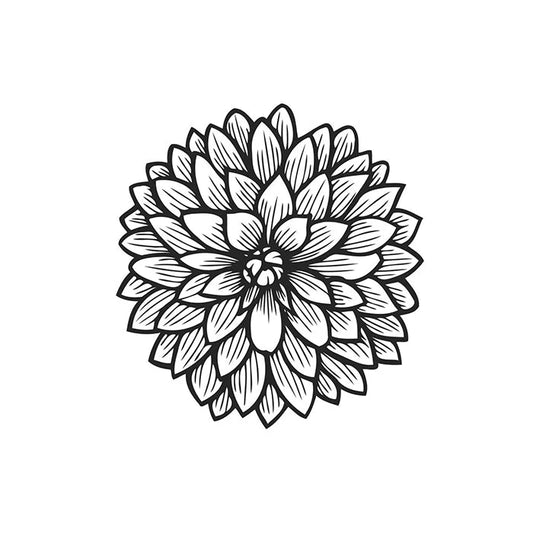 Florelie Pirouette Tuber